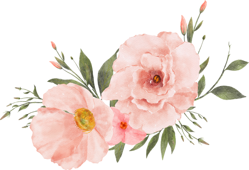 Watercolor Peach Flower